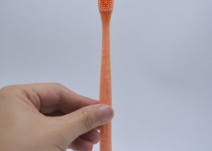 Willy Tooth Brush