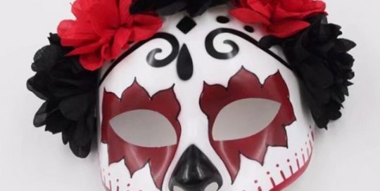 Red Senorita Flowers Mexican Skull Women Female Mask