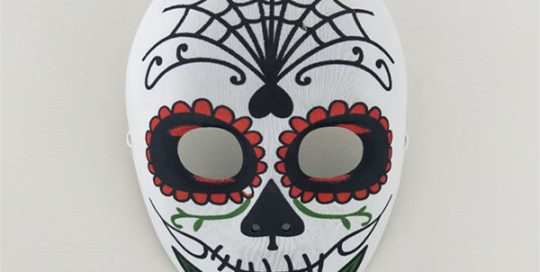 Spiderman Themed Day of The Dead Skull Mask Fancy Dress Accessory