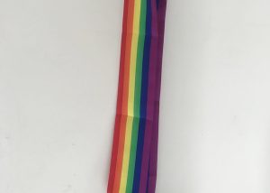 Rainbow Satin Sash-33" Long And 4" Wide For Gay Pride Party