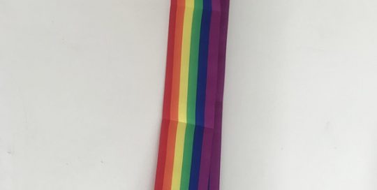 Rainbow Satin Sash-33" Long And 4" Wide For Gay Pride Party