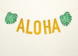 Hawaii Party Banner Aloha Letter Party Garland