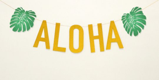 Hawaii Party Banner Aloha Letter Party Garland