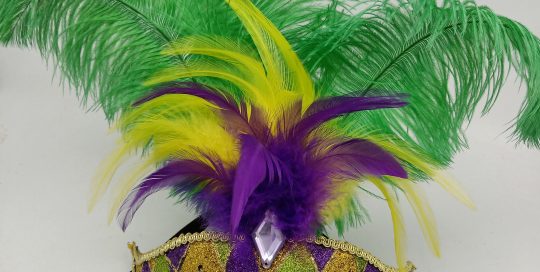 LED PARTY MASK PGG Mardi GRas Mask w Feathers