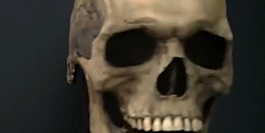 Halloween Latex Mask