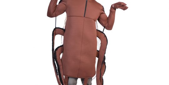 Cockroach Costume