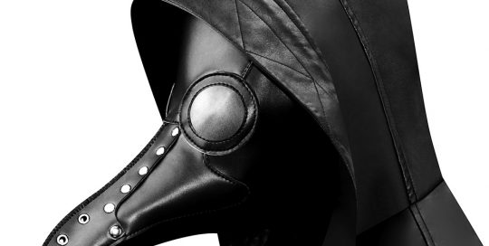 Plague Doctor Bird Mask Steampunk Long Nose beak Mask