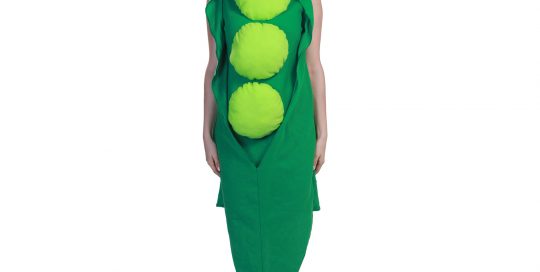 Festival Carnival Vegetable Costumes